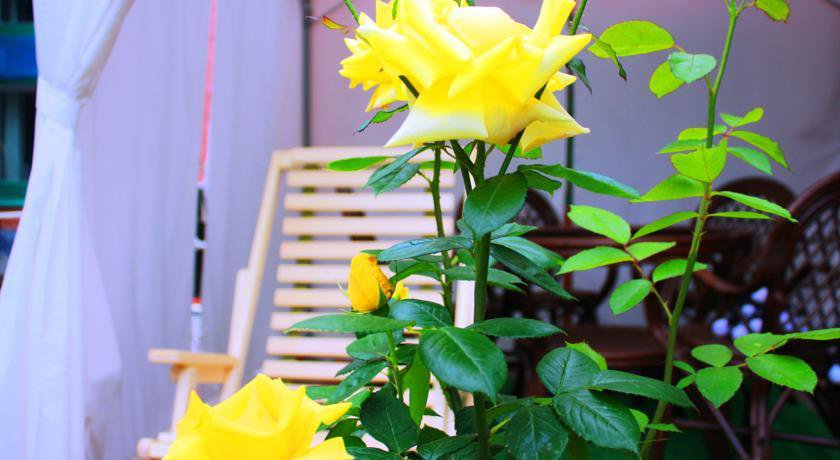 Гостевой дом Абажур Ейск-30